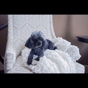 Meet your Posher, Sara